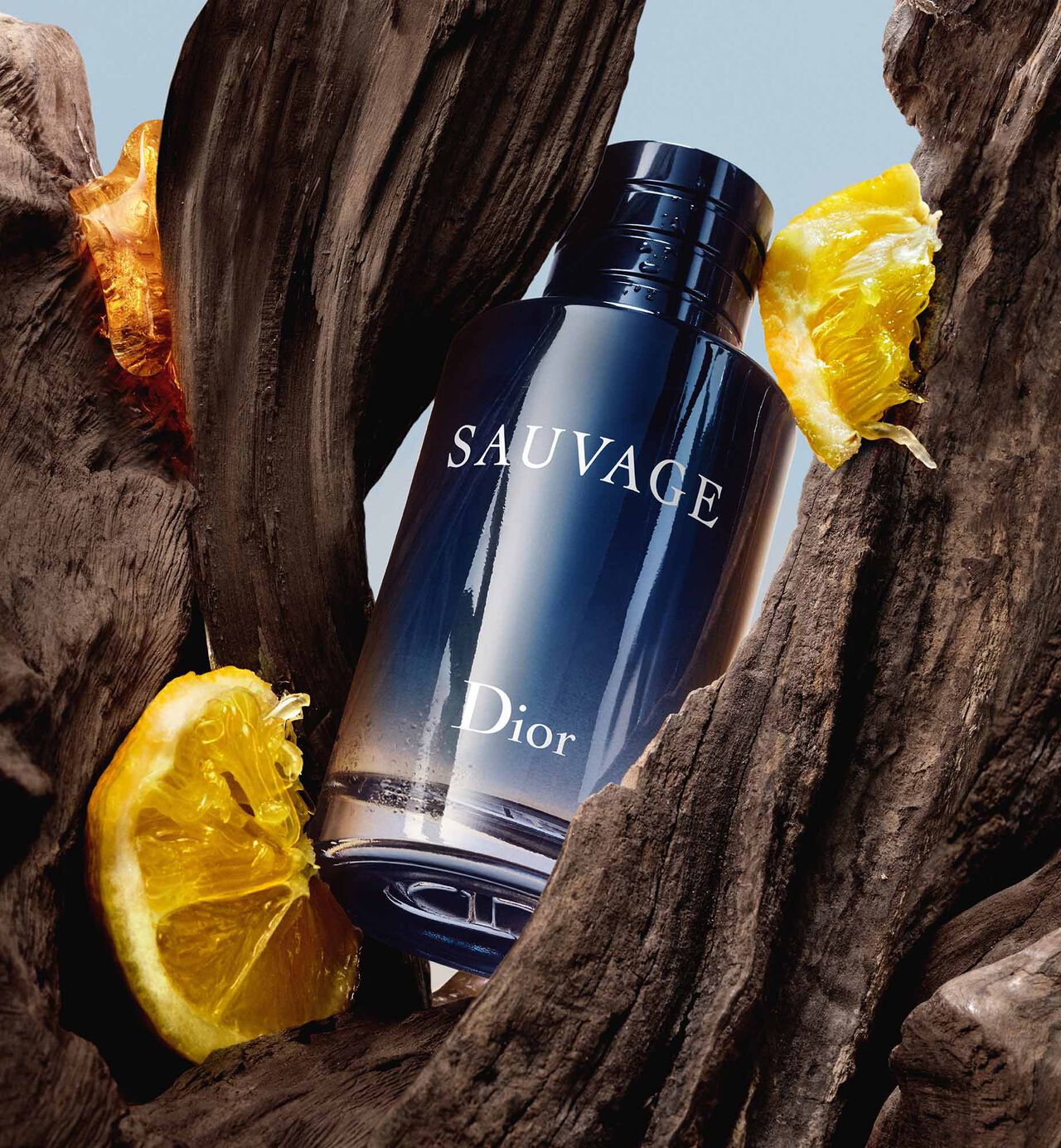 Dior Sauvage – Men’s Fragrance